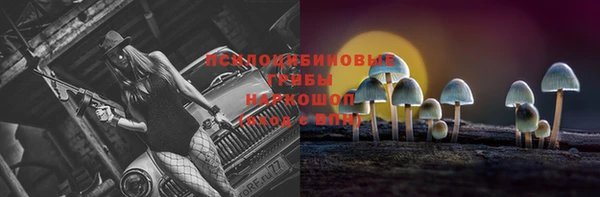 стафф Верхний Тагил