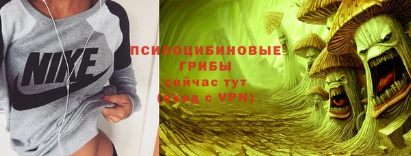 мдпв Бронницы