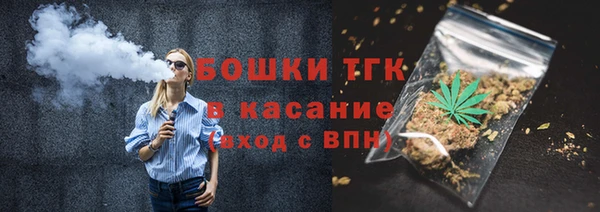 мдпв Бронницы